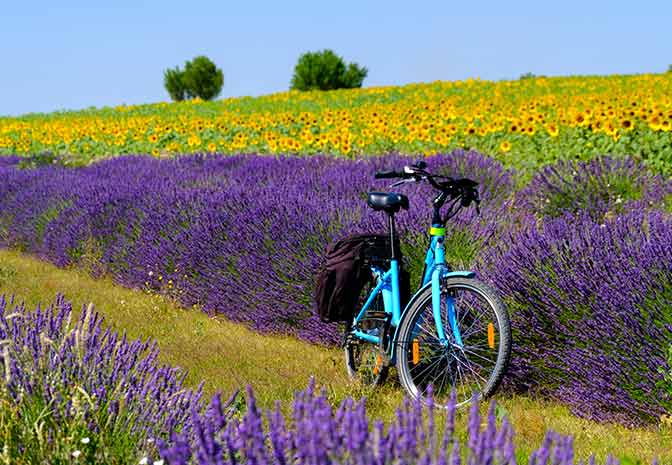 The Best Places for Cycling in France