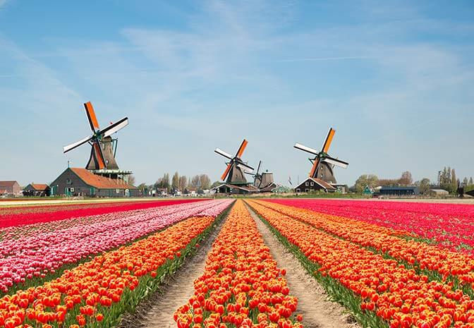 Pantone Colour of the Year in Holland
