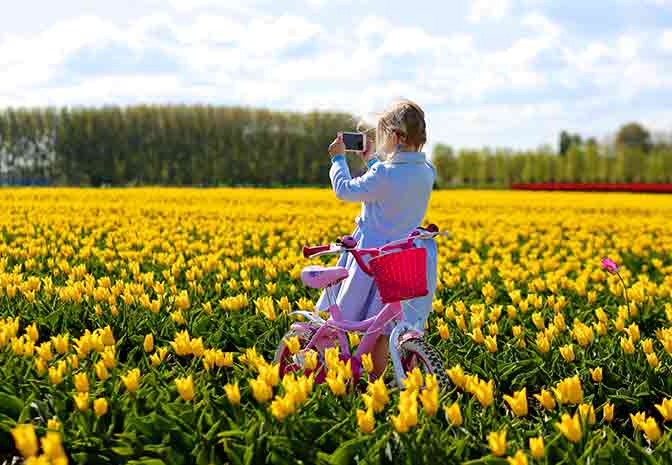 The Best Things about Family Cycling Holidays in the Netherlands