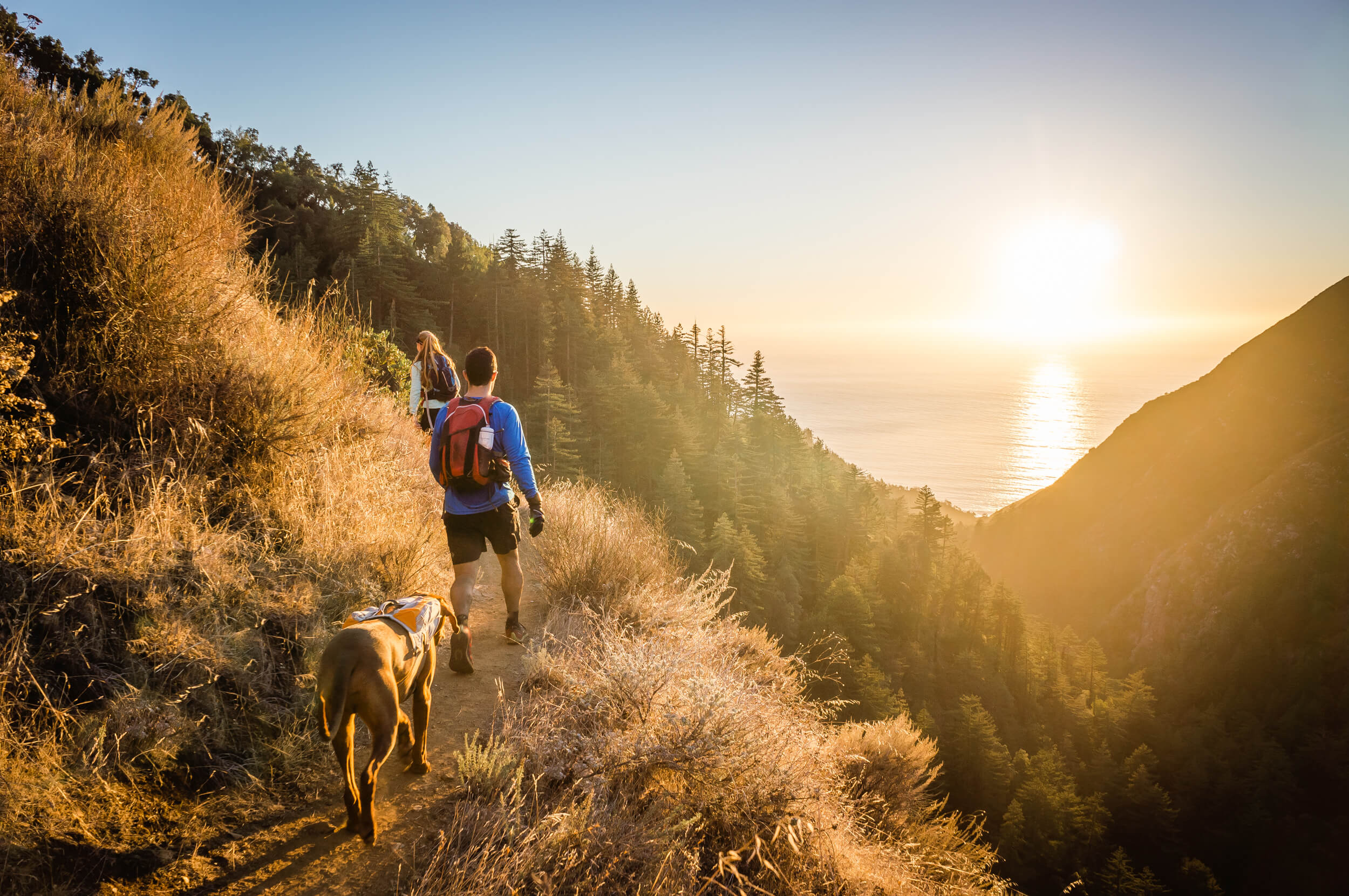 The Best Dog Friendly Hiking Spots in Europe