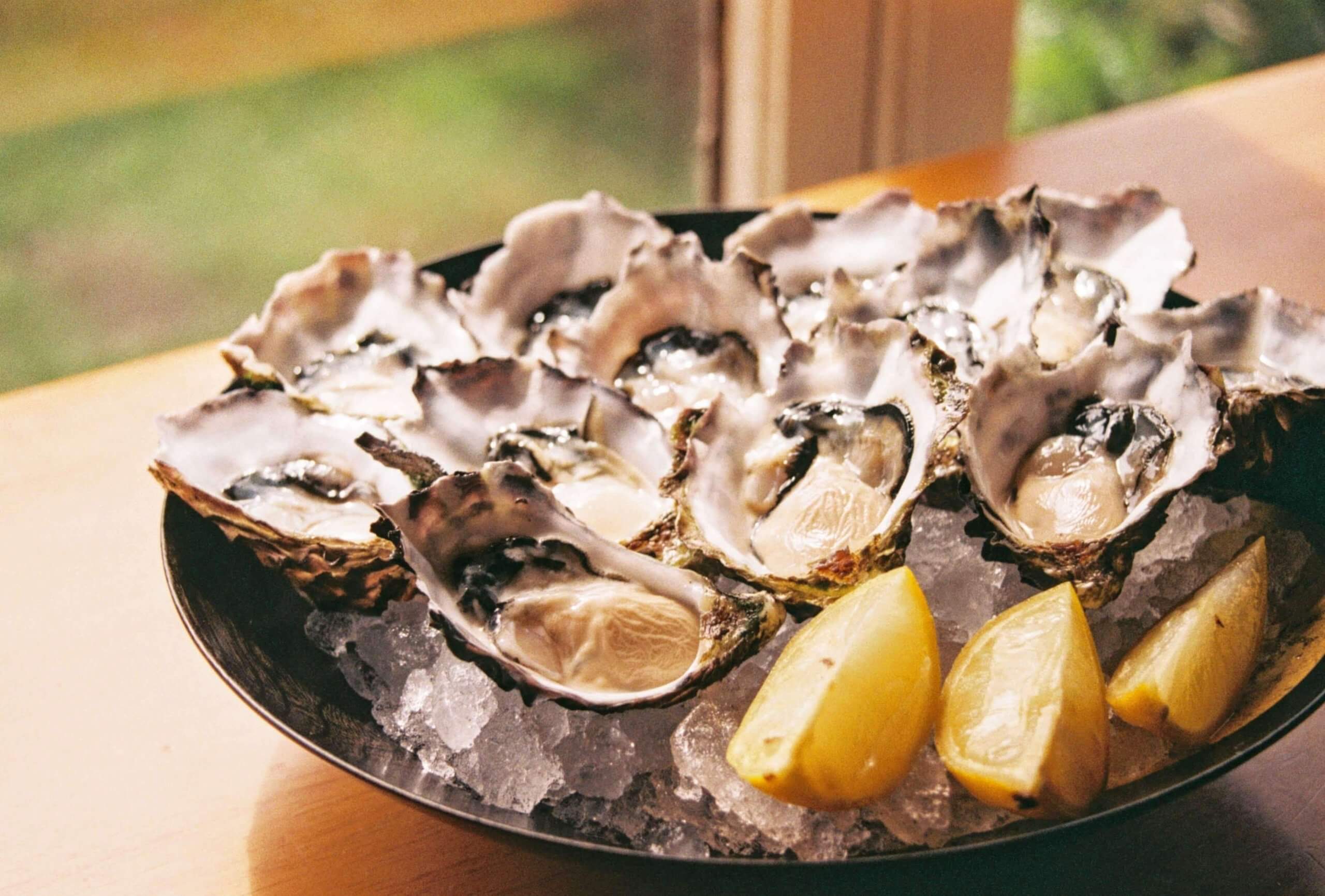 Scotland’s Best Spots for Seafood