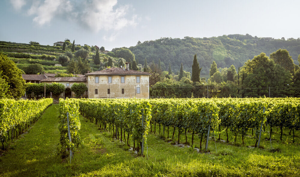 5 Must-Experience French Chateau Breaks